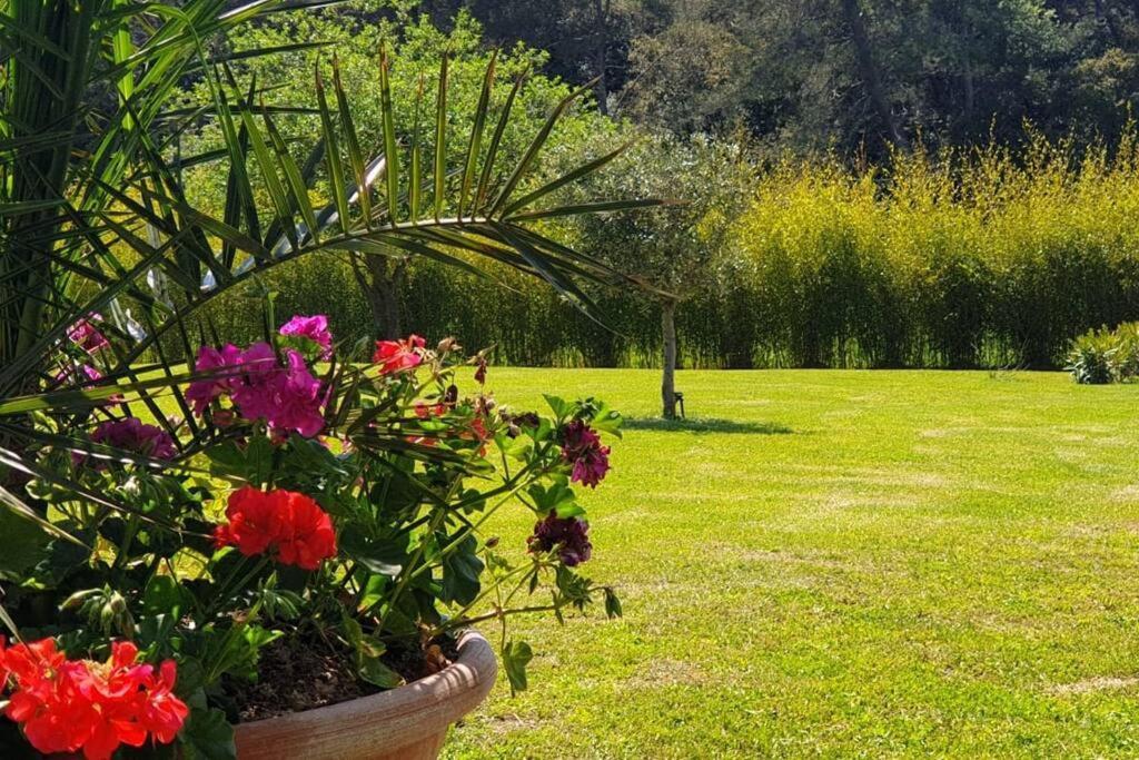 Hébergement de vacances Les Prairies De Fenestrelle Spa&piscine Au Calme Aubagne