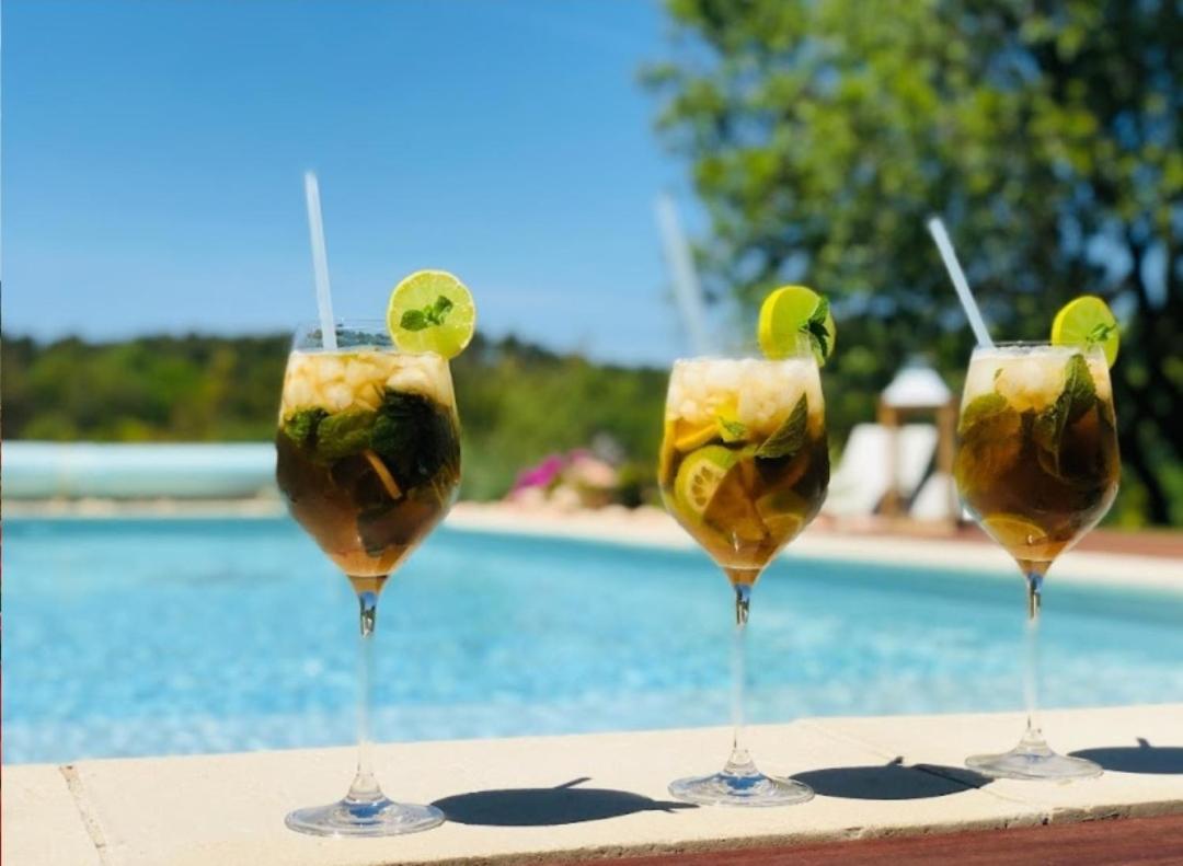 Les Prairies De Fenestrelle & Piscine Au Calme Holiday home Aubagne